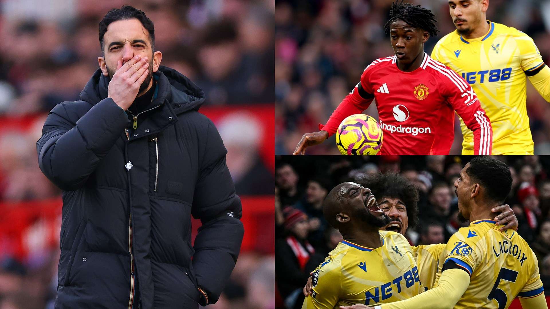 和临危不乱 和临危不乱