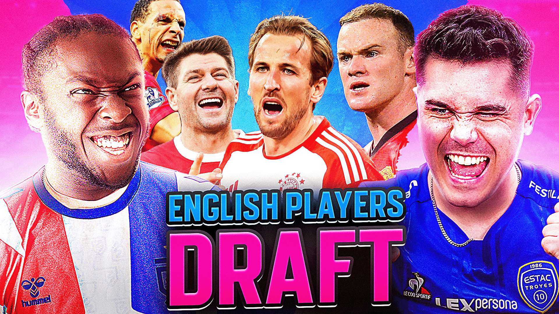 们提供了实 们提供了实