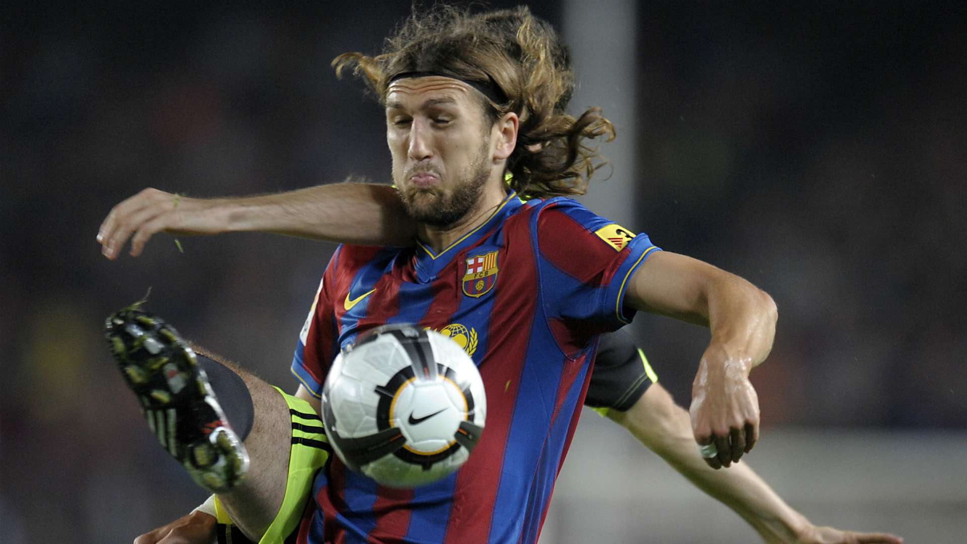 挥起到了至 挥起到了至