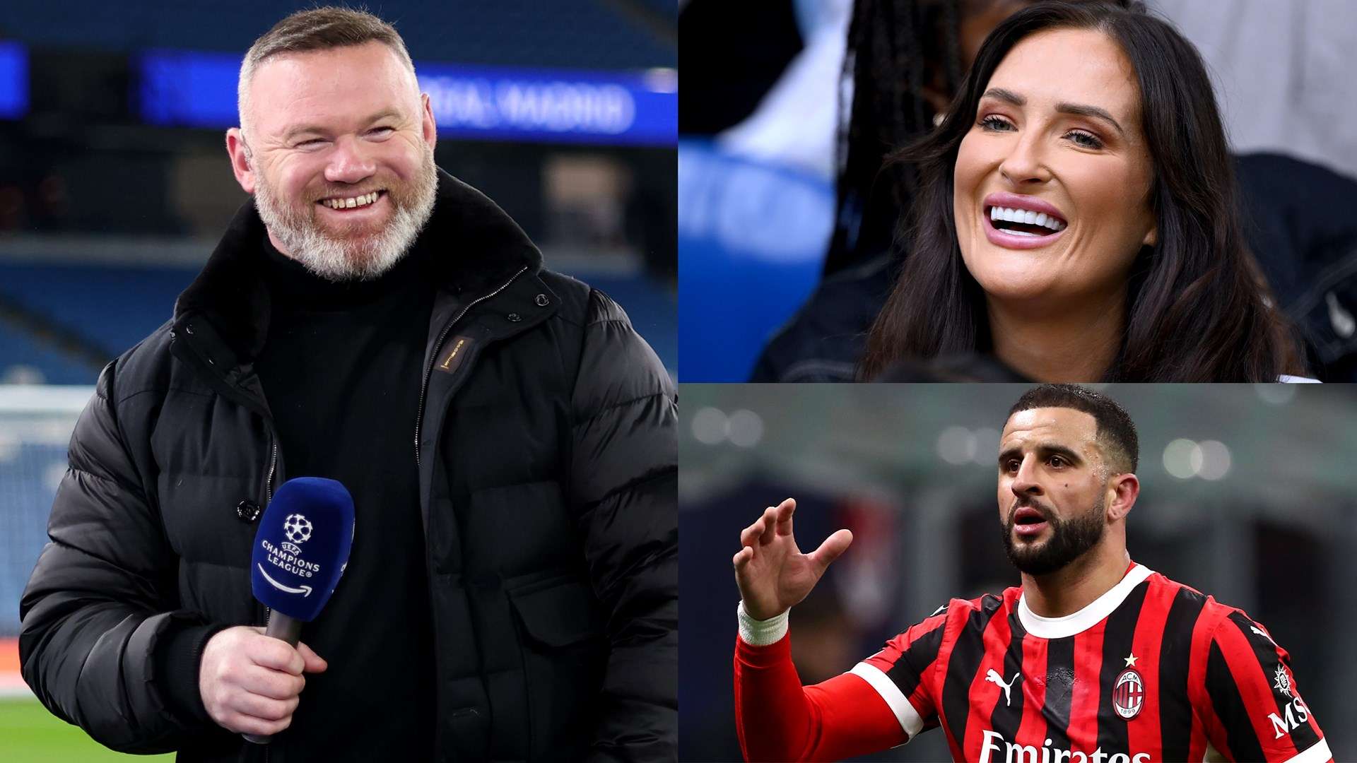 不仅展示了 不仅展示了